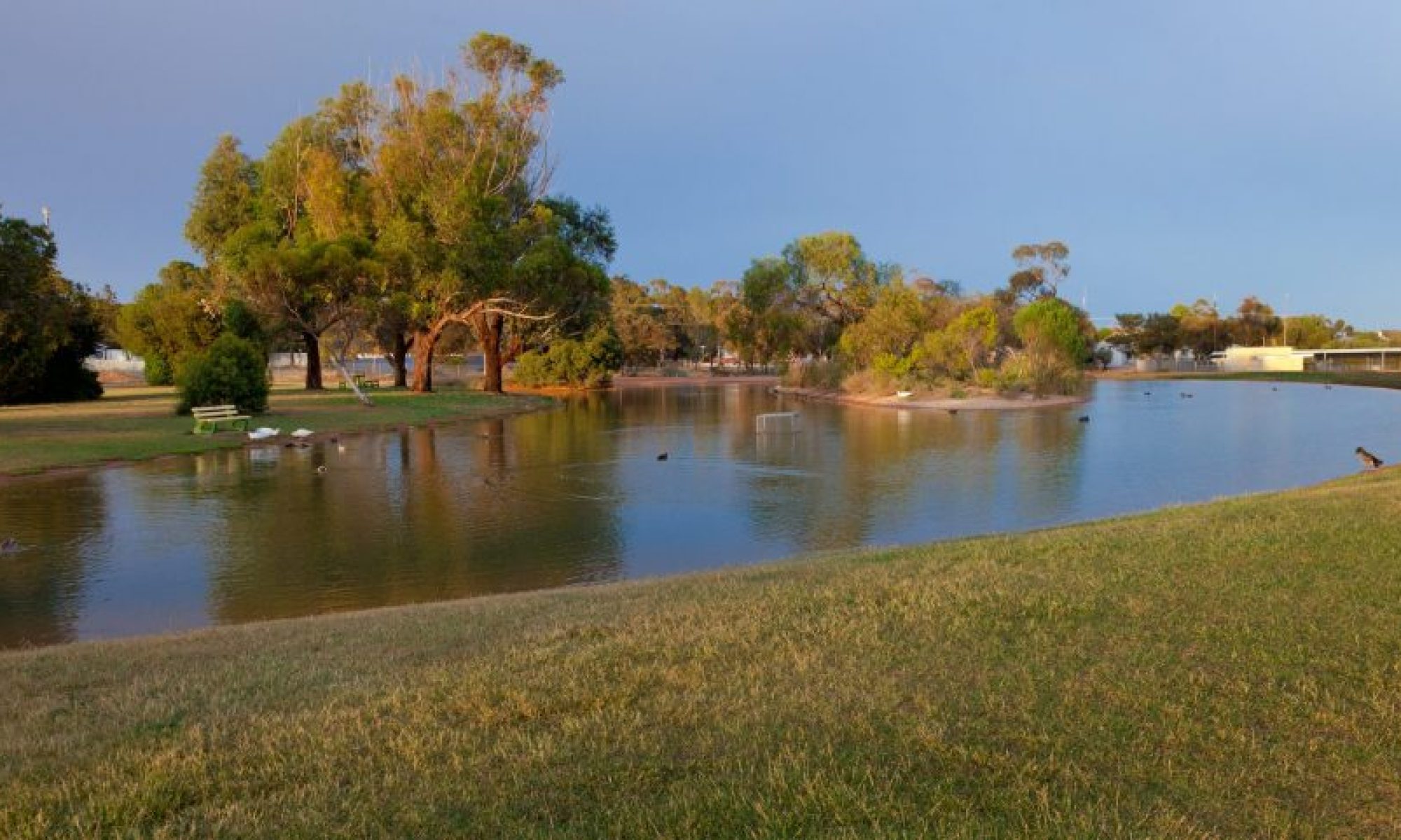 Attractions _ Vic Park