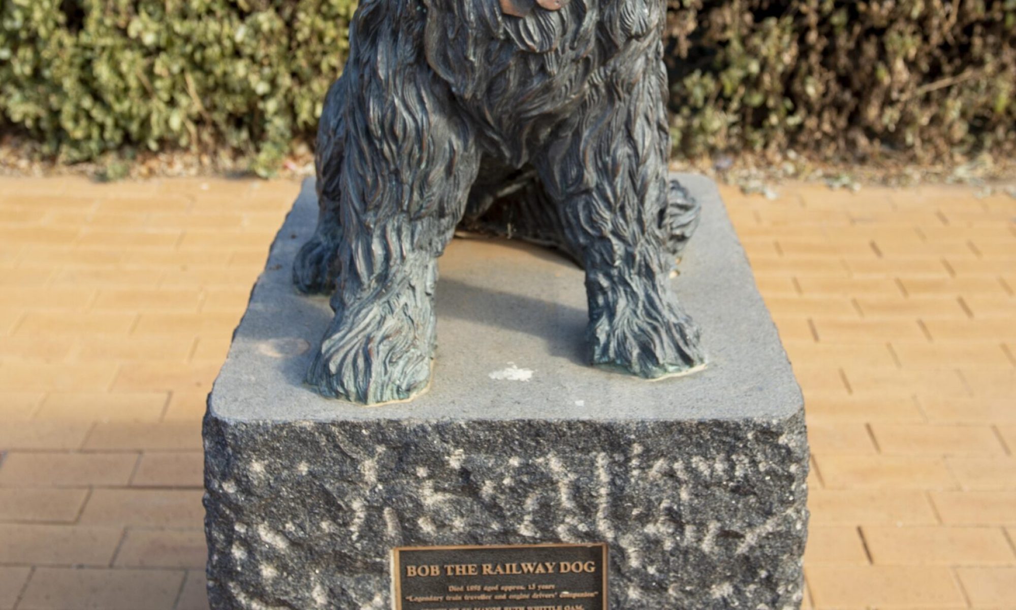 Bob the Dog